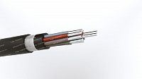 Кабель АКРВГЭ 10х2,5